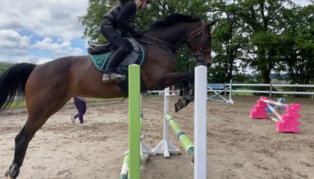 Hofturnier für Reitschüler 2025