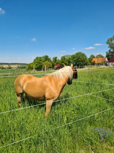 image02595